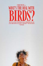 What’s The Deal With Birds?
